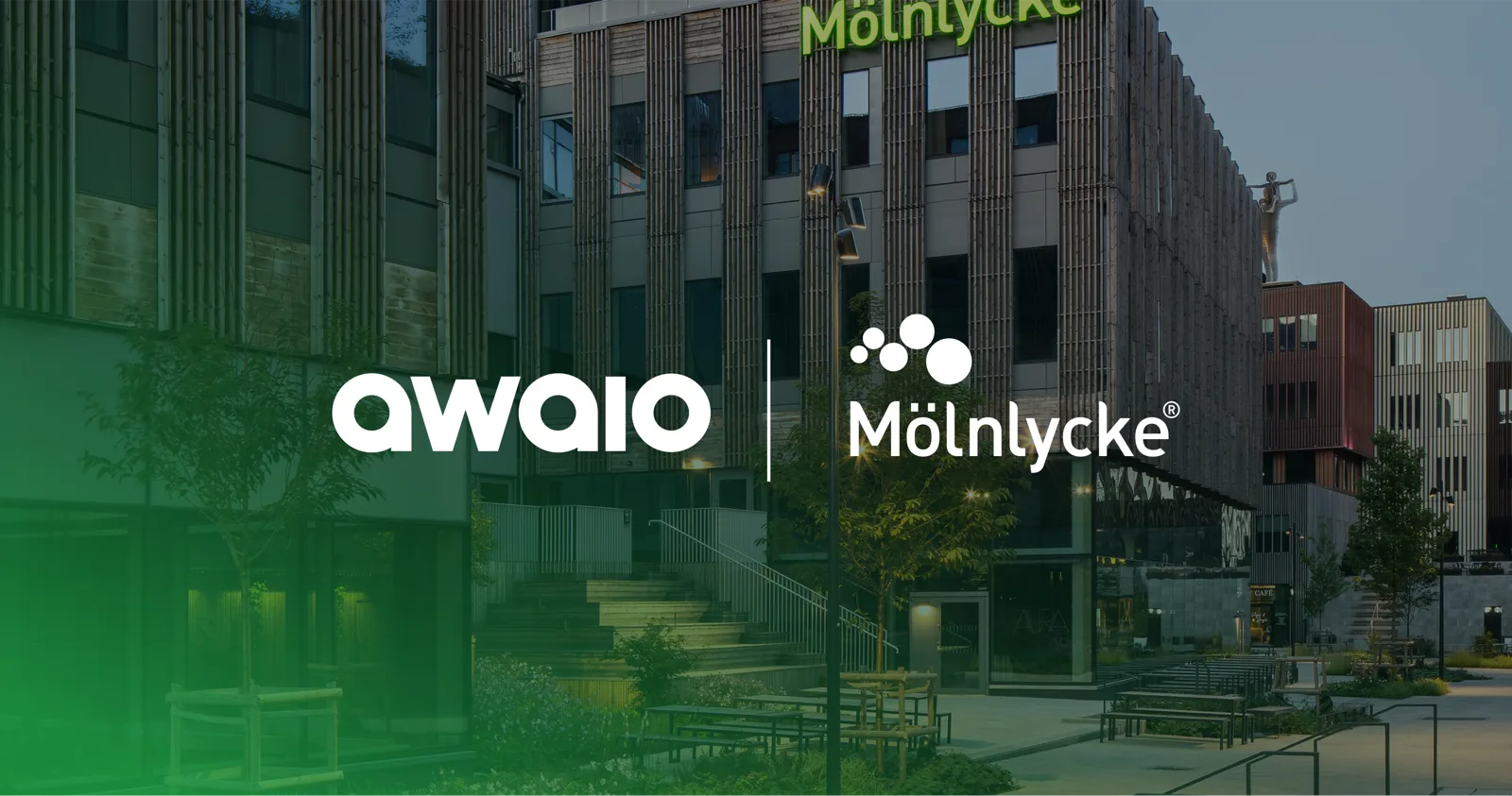 How Mölnlycke turned its HQ into Sweden's highest-ranked workplace