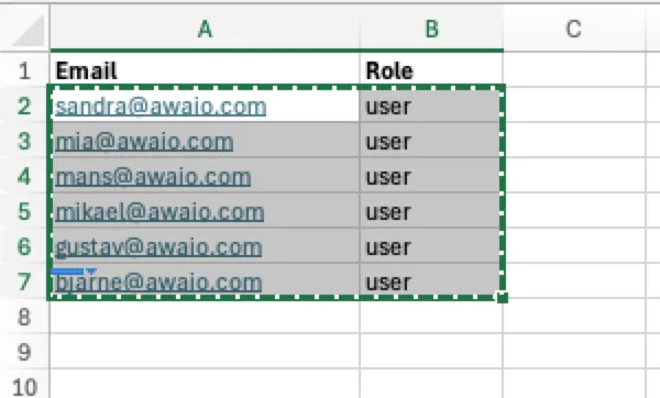 Spreadsheet with Email and Role columns