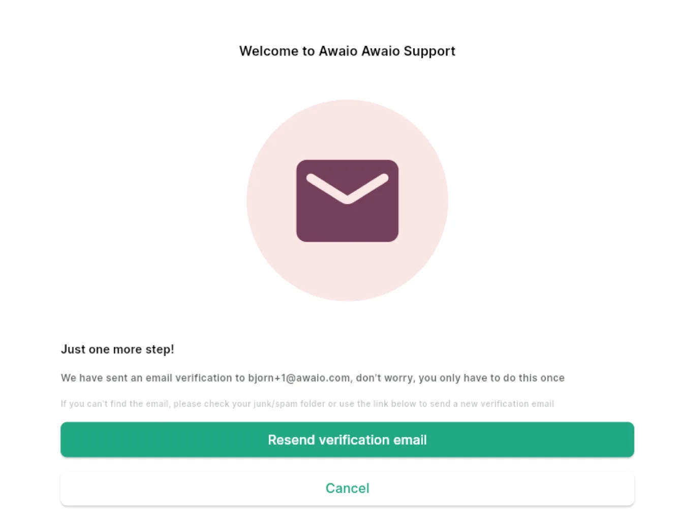 Email verification screen