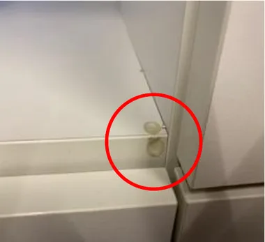 Remove any damping pillows or rubber parts near the lock